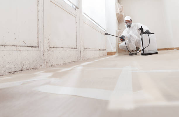 24/7 Emergency Mold Remediation experts in Marion, IL