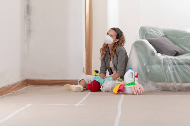 Reliable Mold Remediation contractor in Marion, IL by WQB Mold Removal